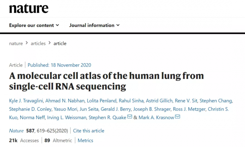  利用單細胞 RNA-seq 技術(shù)創(chuàng)造了全肺圖譜 