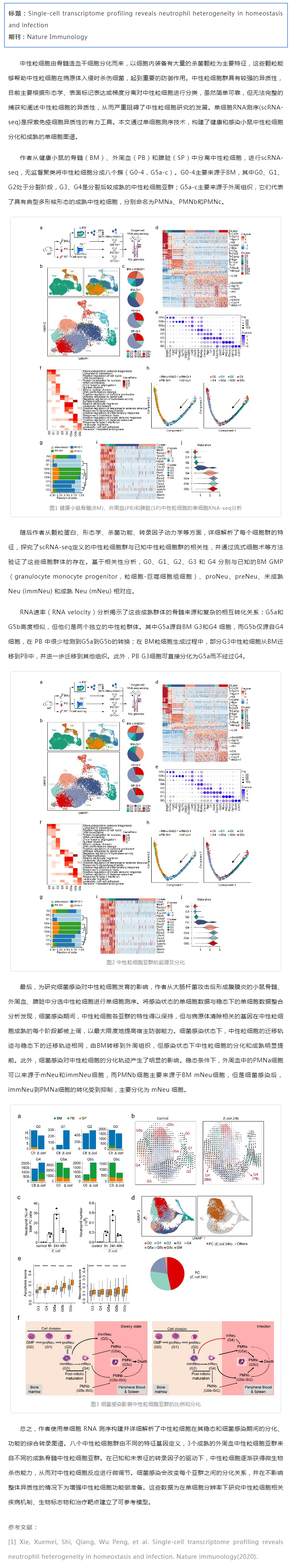 文獻解讀_單細胞 RNA 測序揭示健康和細菌感染小鼠中的中性粒細胞異質(zhì)性