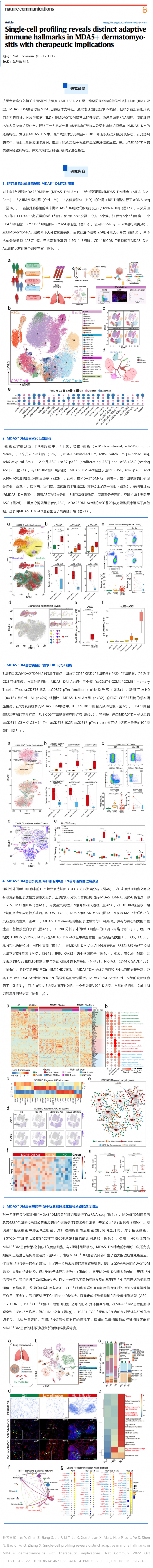 文獻解讀_單細胞分析揭示了 MDA5+ 皮肌炎的獨特適應性免疫特征及其治療意義