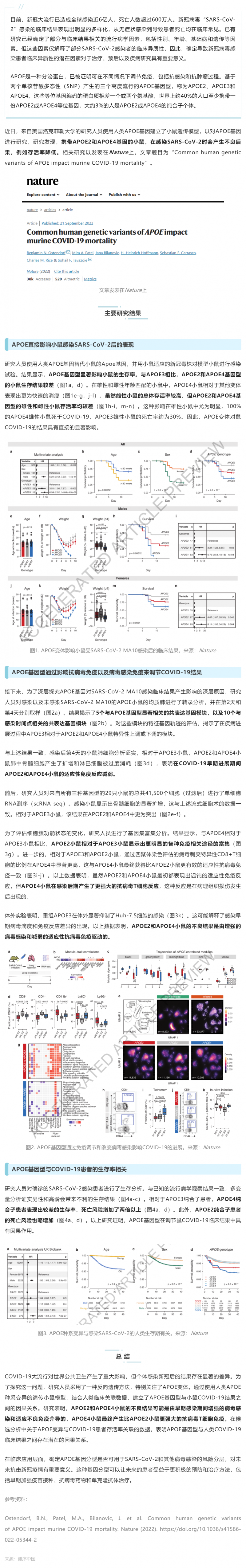 Nature _ 為什么有些人感染新冠后死亡風險高？研究揭示與 APOE 基因型有關