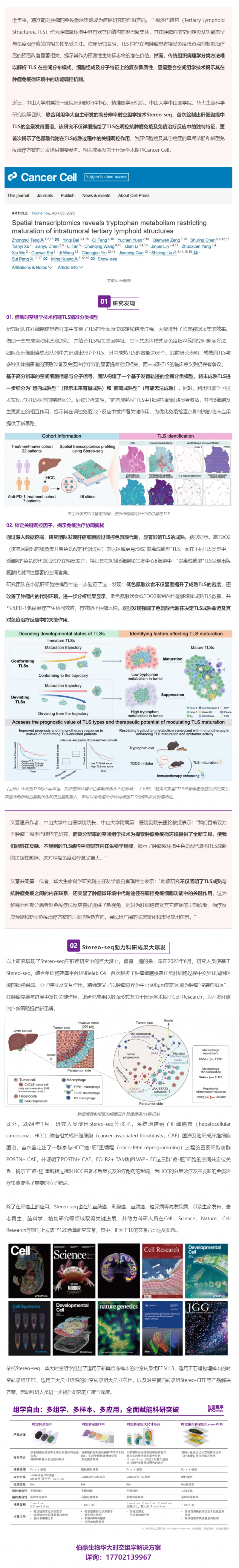 Cancer Cell _ 首個肝細胞癌中 TLS 的全景發(fā)育圖譜！Stereo-seq 助力肝癌研究再獲